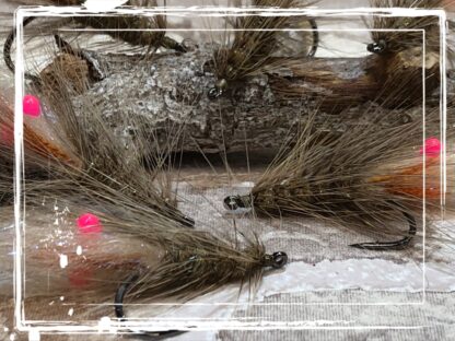 FKM 25/0222 Shrimp