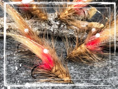 FKM 25/0405 Shrimp
