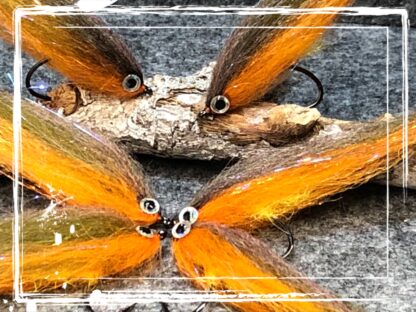 FK Baitfish 25/0503