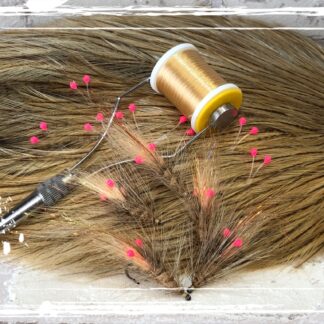 FKM 25/0613 Shrimp