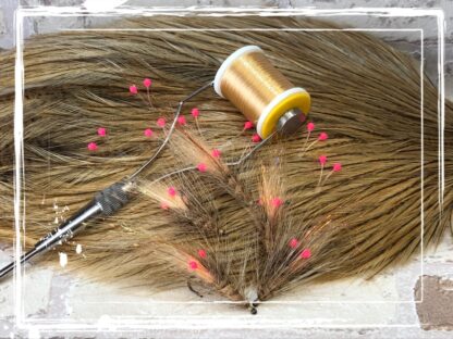 FKM 25/0613 Shrimp