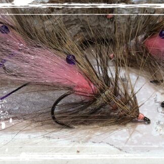 FKM 25/0816 Shrimp