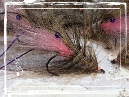 FKM 25/0816 Shrimp
