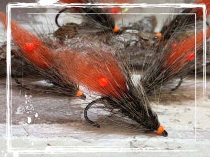 Laser Shrimp FK 24/326