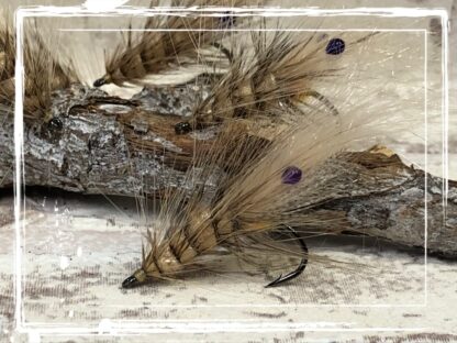 FKM 25/0618 Shrimp