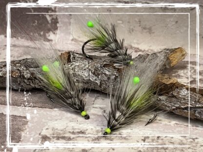FKM 25/0719 Shrimp