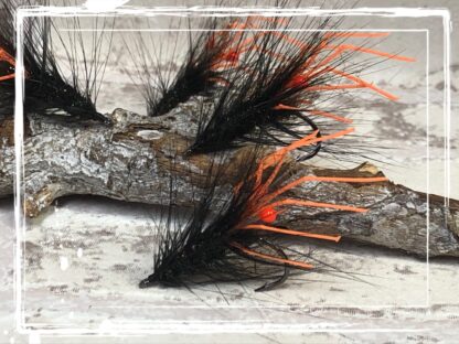 FKM 25/0705 Shrimp 2.0