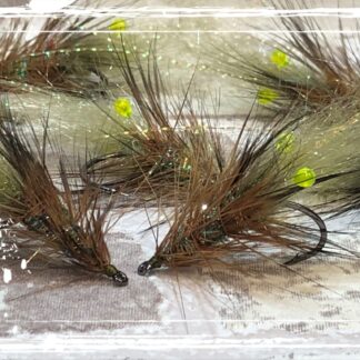 FKM 25/0725 Shrimp