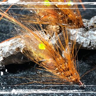 FKM 25/0805 Shrimp