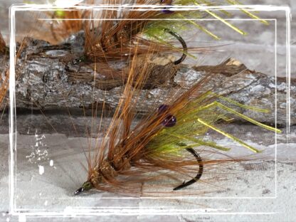 FKM 25/0823 Shrimp 2.0