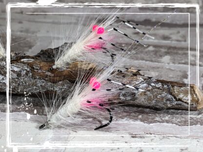 FKM 25/0905 Shrimp 2.0
