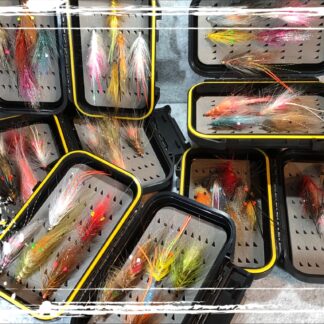 FK Coastal Shrimp Mix