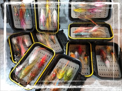 FK Coastal Shrimp Mix