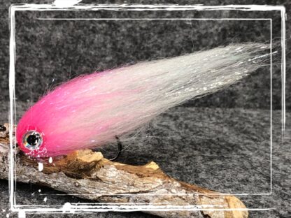 FK Barsch/Zander Zocker 25/0927