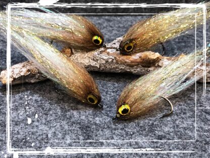 FK Barsch/Zander Zocker 25/0924