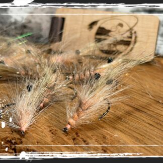 FKM 26/0512 Shrimp