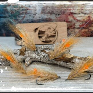 FKM 26/0522 Shrimp