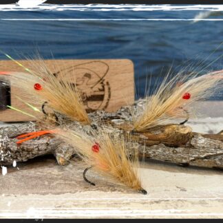 FKM 26/0710 Shrimp