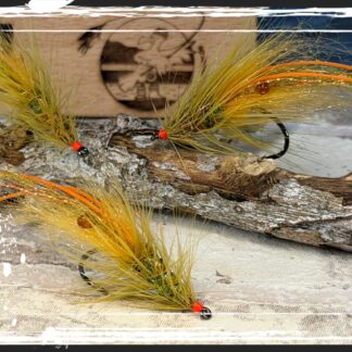 FKM 26/0719 Shrimp