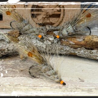 FKM 26/0728 Shrimp
